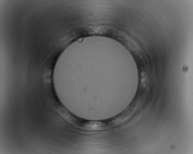 X0000102340514200808291140
