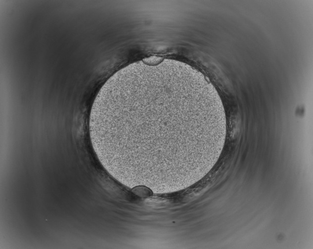 X0000102340515200808291140