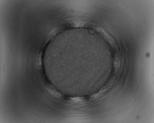 X0000102340516200808291140