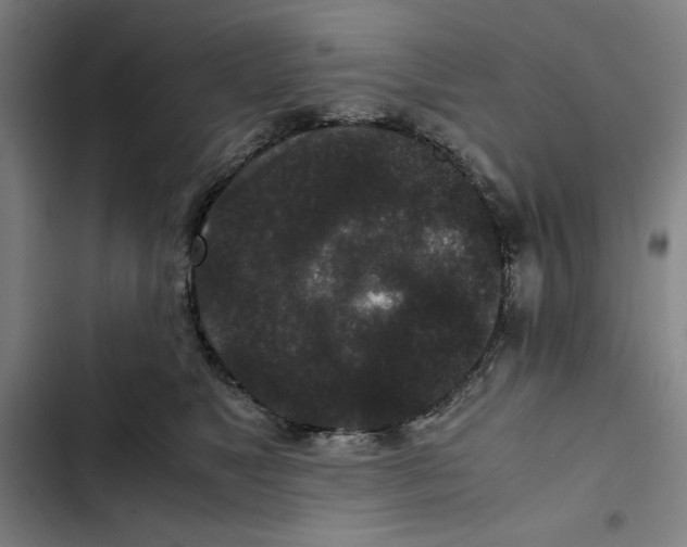 X0000102340517200808291140