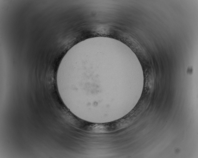 X0000102340518200808291140