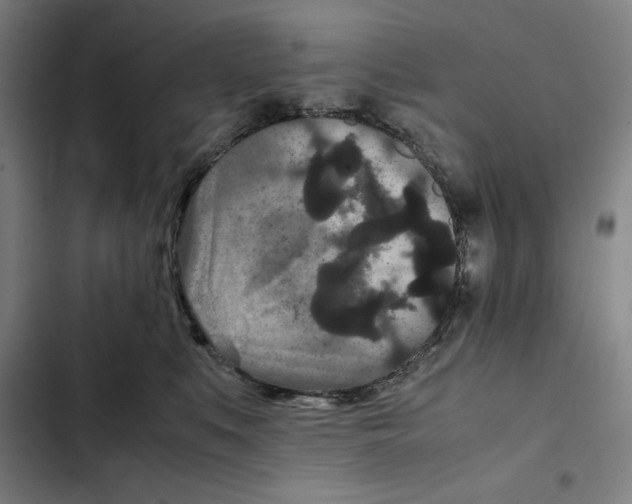 X0000102340519200808291140