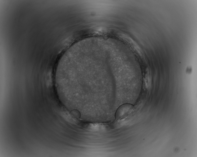 X0000102340520200808291140