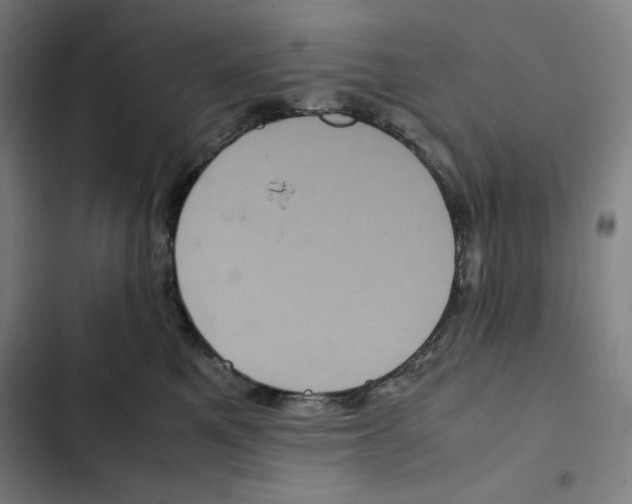 X0000102340521200808291140