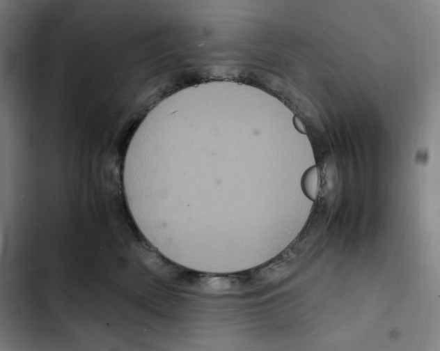 X0000102340522200808291140