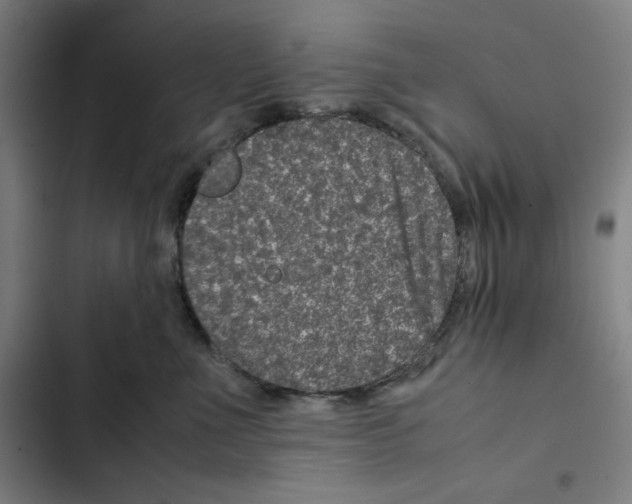 X0000102340523200808291140