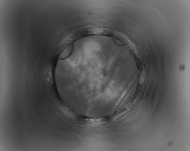 X0000102340524200808291140