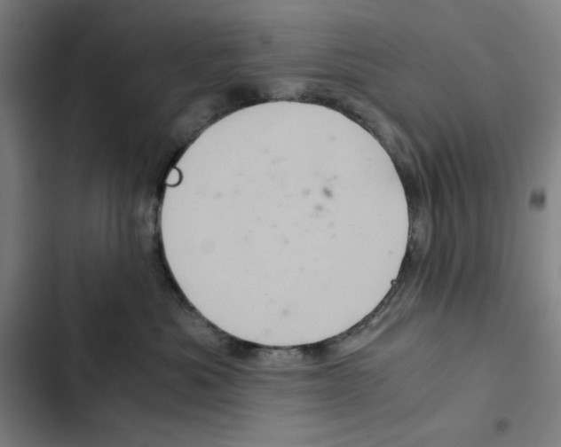 X0000102340525200808291140