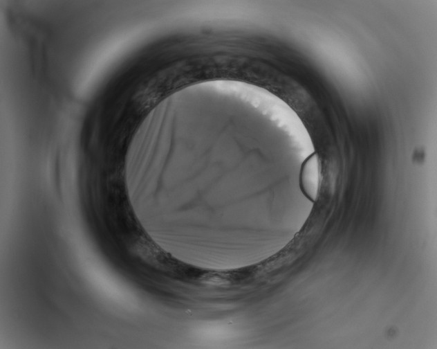 X0000102340526200808291140