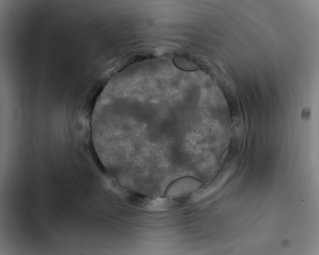 X0000102340527200808291140