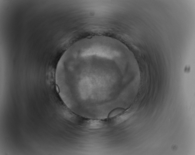 X0000102340528200808291140