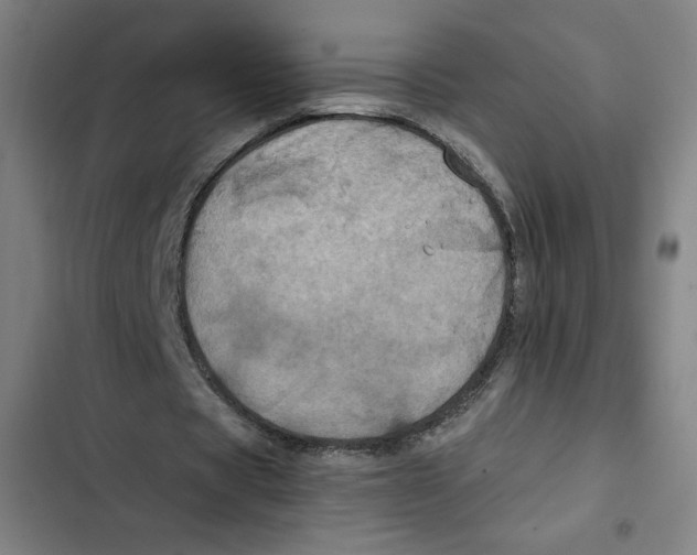 X0000102340529200808291139