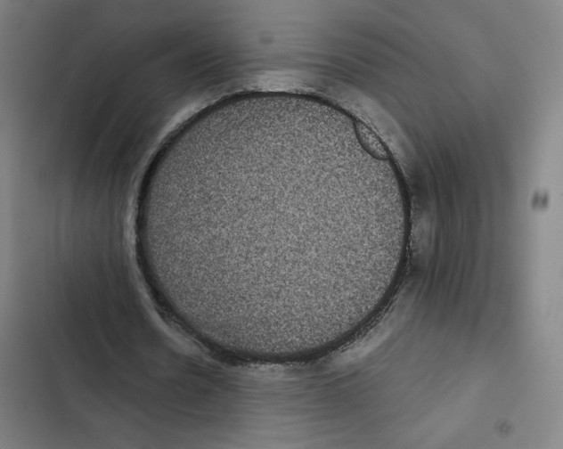X0000102340530200808291139