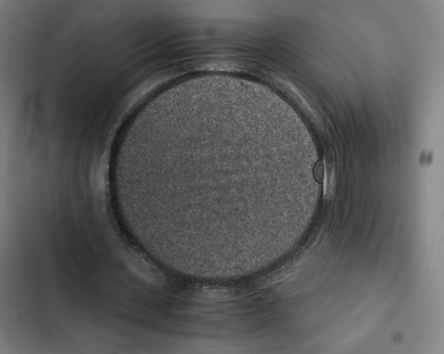 X0000102340531200808291139