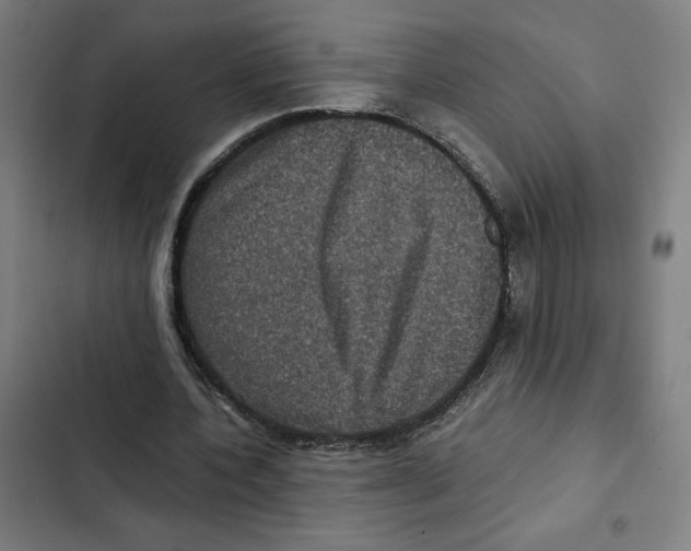 X0000102340532200808291139
