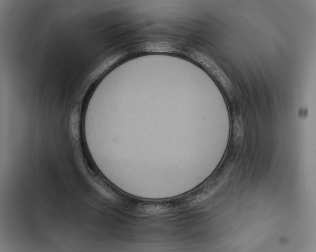 X0000102340533200808291139