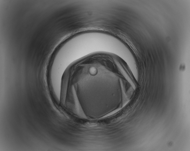 X0000102340534200808291139