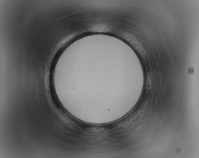 X0000102340535200808291139
