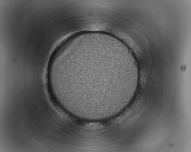 X0000102340536200808291139