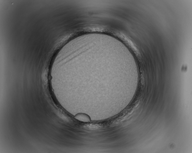 X0000102340537200808291139