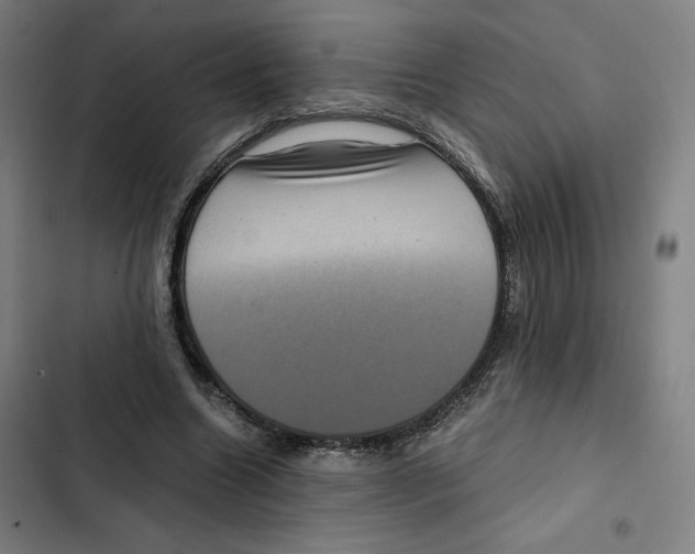 X0000102340538200808291139
