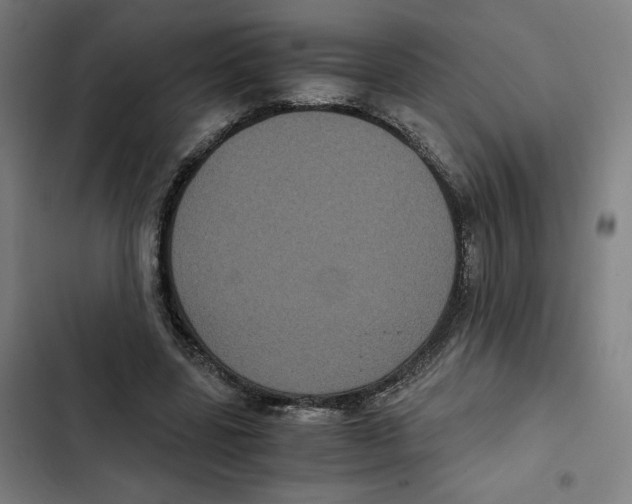 X0000102340539200808291139