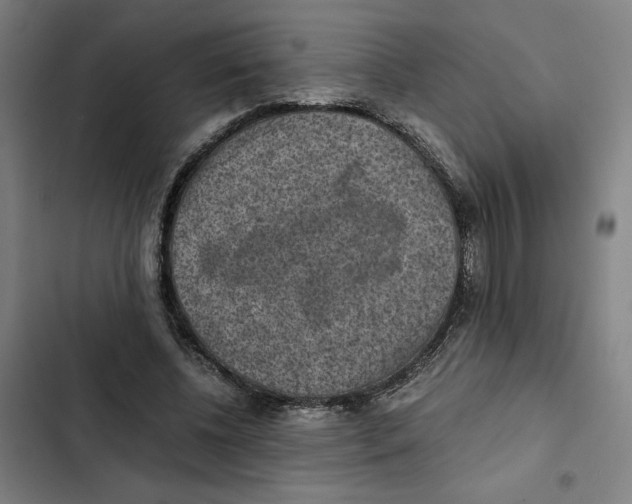 X0000102340540200808291140