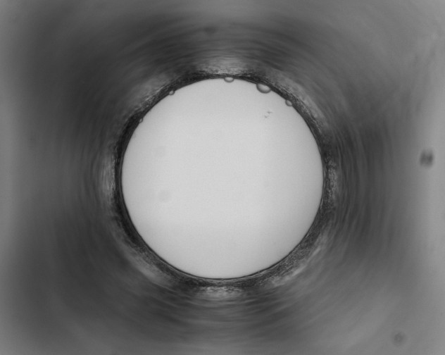 X0000102340541200808291140