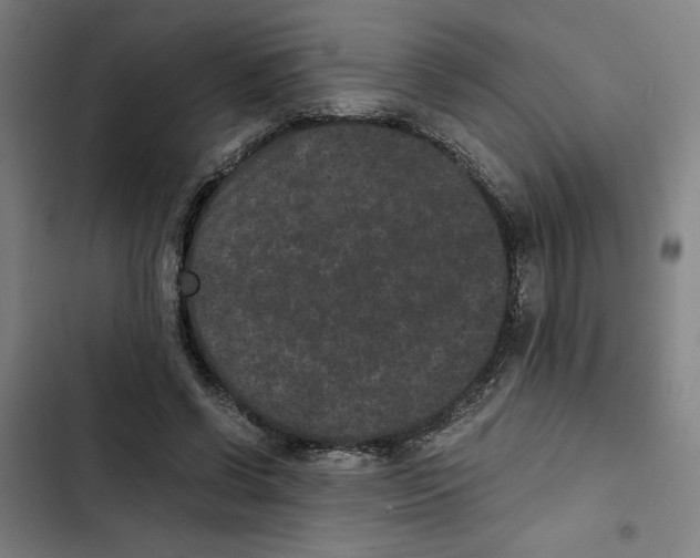X0000102340542200808291140
