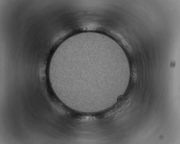 X0000102340543200808291140
