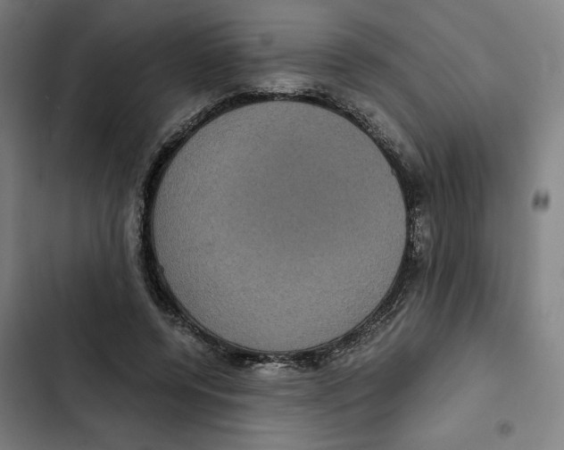X0000102340544200808291140