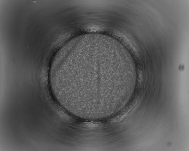 X0000102340545200808291140