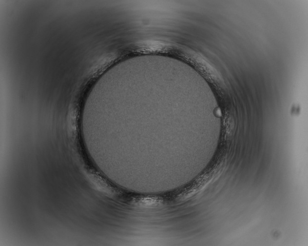 X0000102340546200808291140