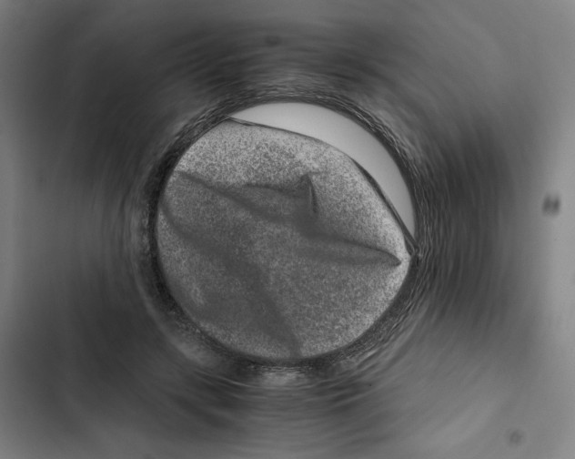 X0000102340547200808291140