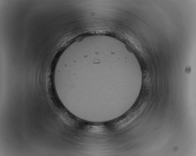 X0000102340548200808291140