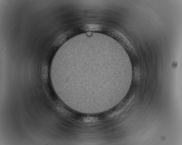 X0000102340549200808291140