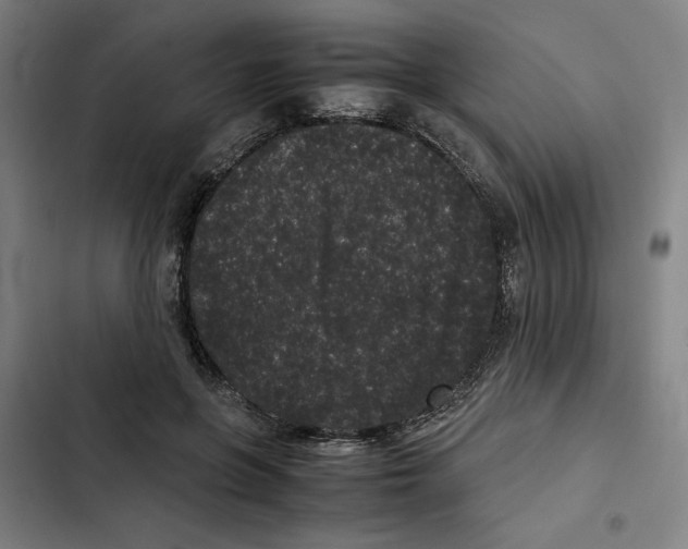 X0000102340551200808291140