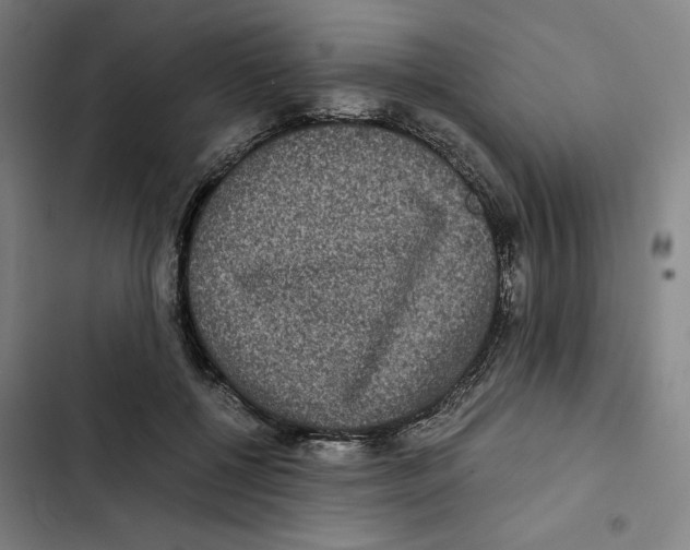 X0000102340552200808291140