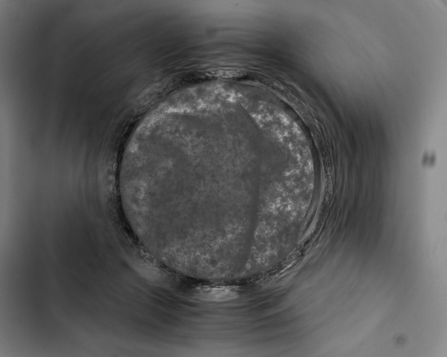 X0000102340553200808291140