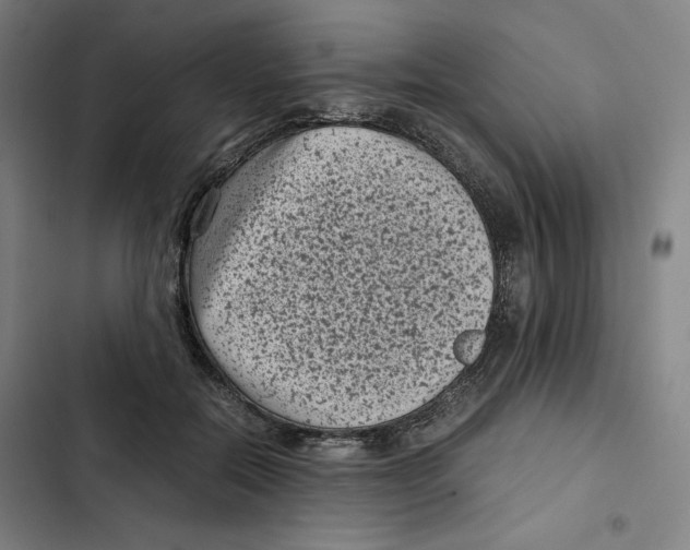 X0000102340554200808291140