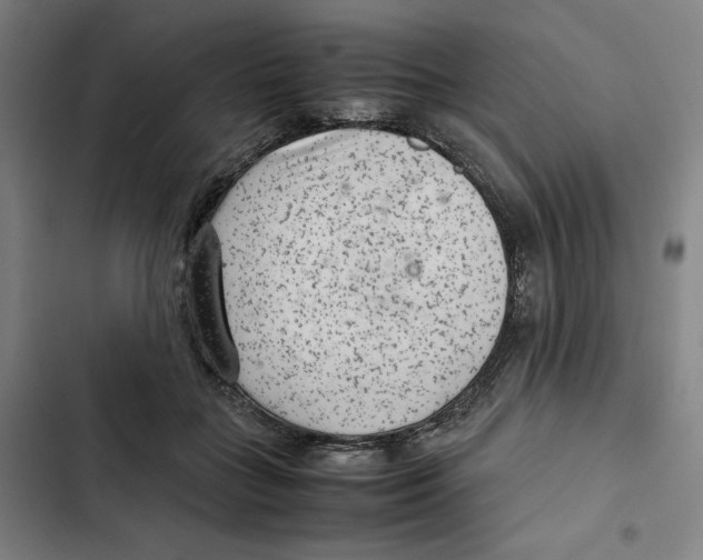 X0000102340555200808291140