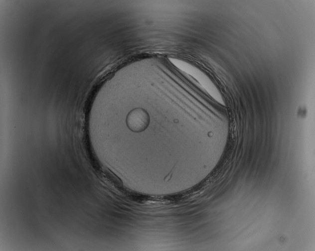 X0000102340556200808291140