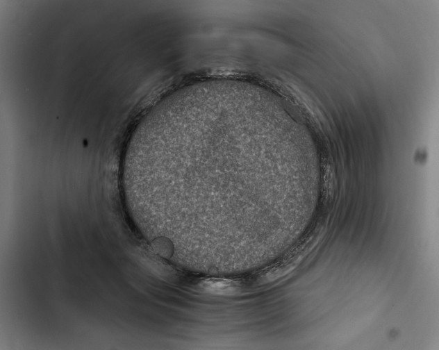 X0000102340557200808291140
