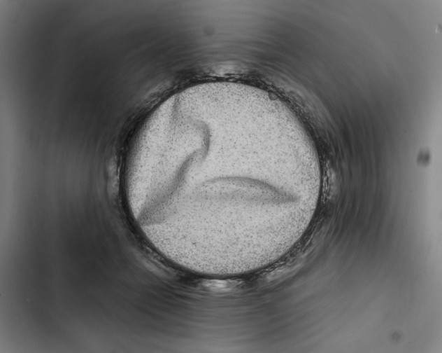 X0000102340558200808291140