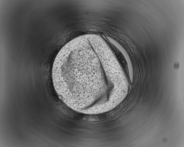 X0000102340559200808291140