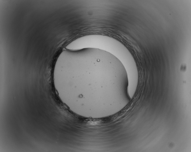 X0000102340560200808291140