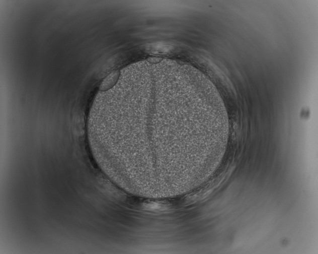 X0000102340561200808291140
