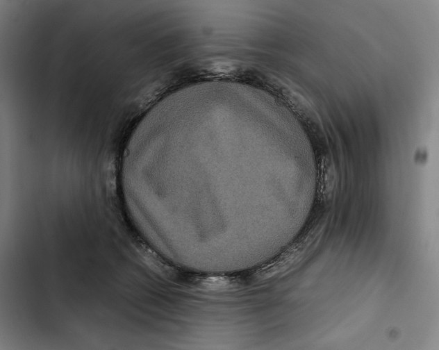 X0000102340562200808291140