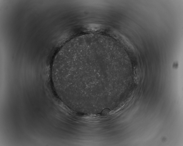 X0000102340563200808291140