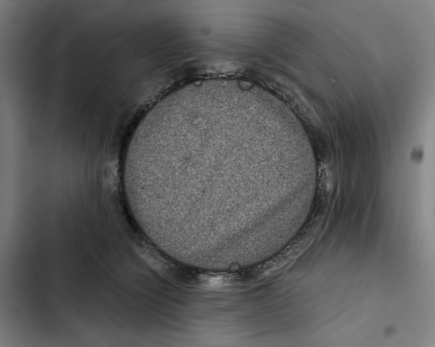 X0000102340564200808291140